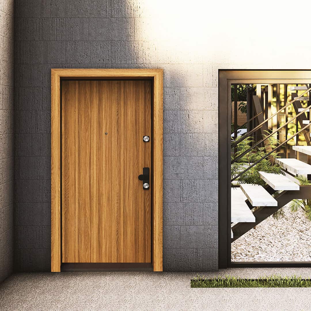 Steel Entry Door